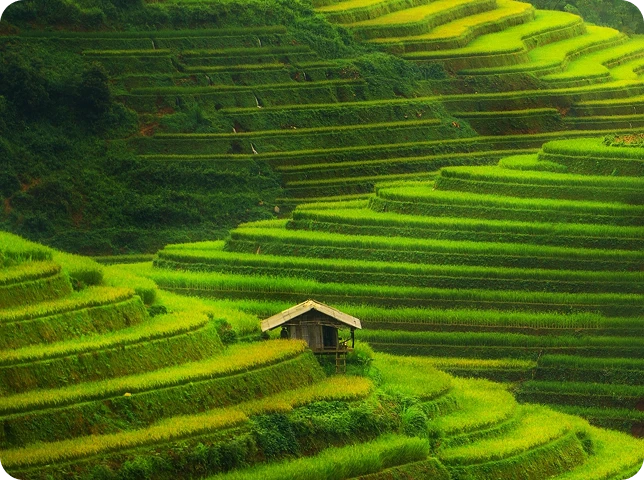 EduTravel Destination Vietnam 2