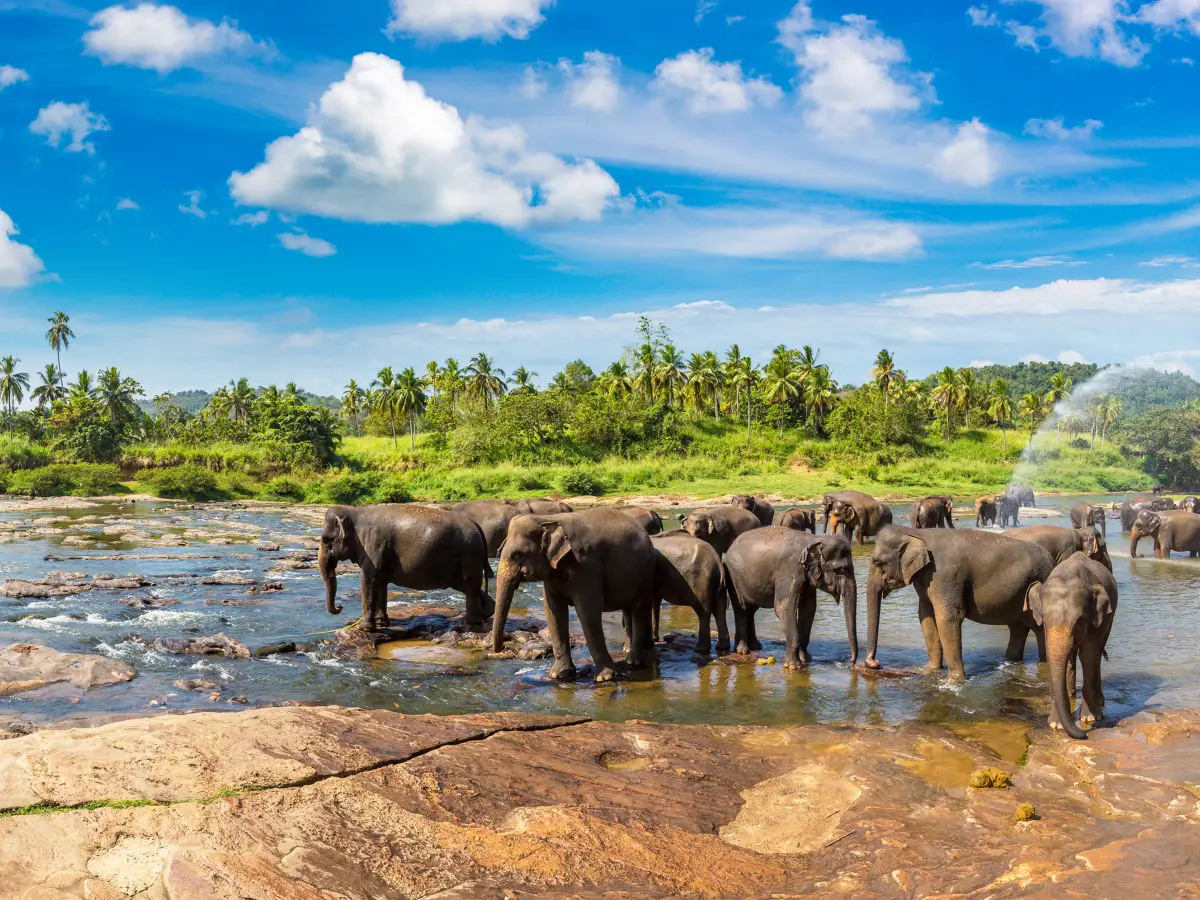 EduTravel Featured Tour 8