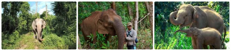 Week Without Wall Mondulkiri Trip EduTravel 4