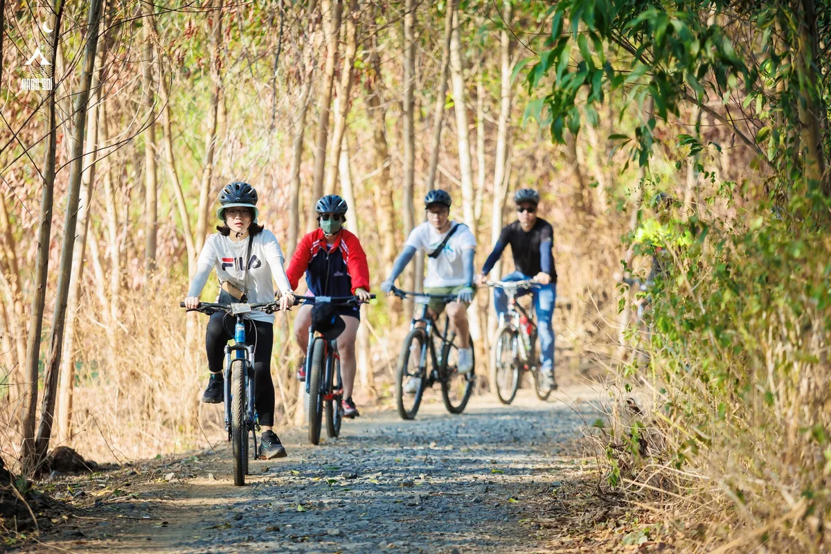 Students cycling along a countryside trail on an Asia Education Travel trip